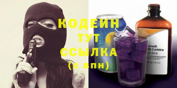 мдпв Богородицк