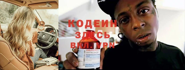 мдпв Богородицк