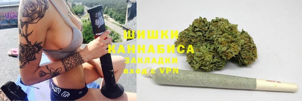 прущие грибы Богданович