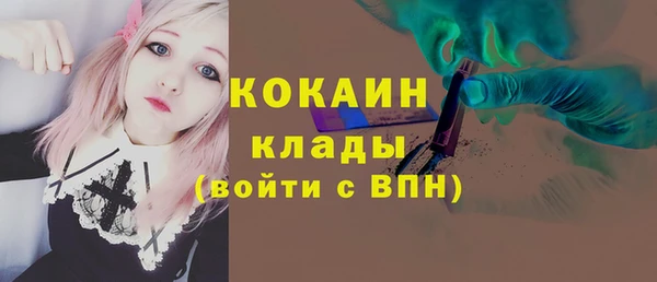 СК Бородино