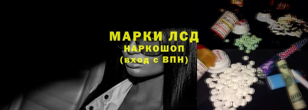прущие грибы Богданович