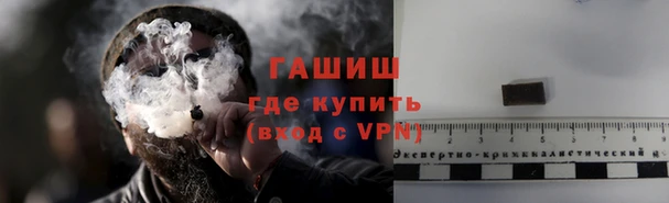 прущие грибы Богданович