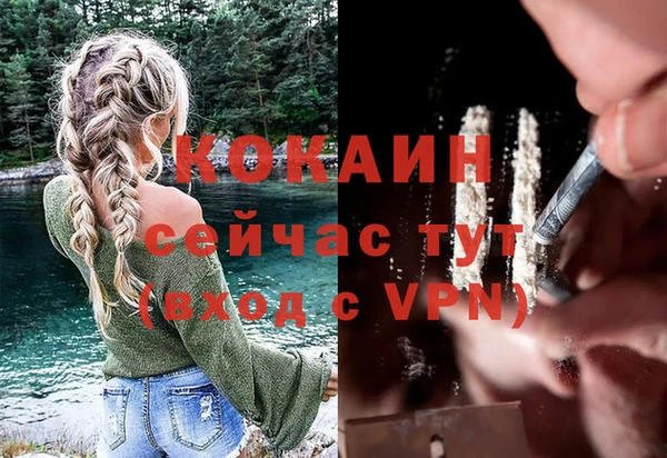мдпв Богородицк