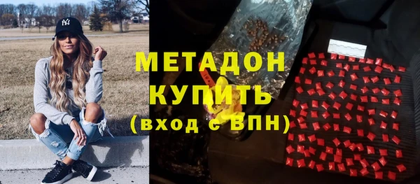 прущие грибы Богданович