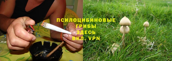 прущие грибы Богданович