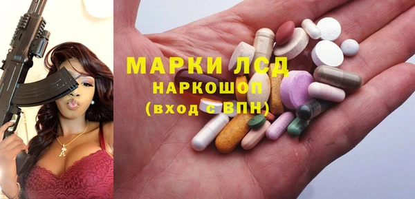 прущие грибы Богданович