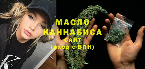 мдпв Богородицк
