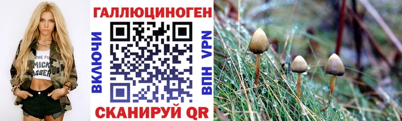 Галлюциногенные грибы MAGIC MUSHROOMS  OMG ТОР  Гатчина  как найти закладки 