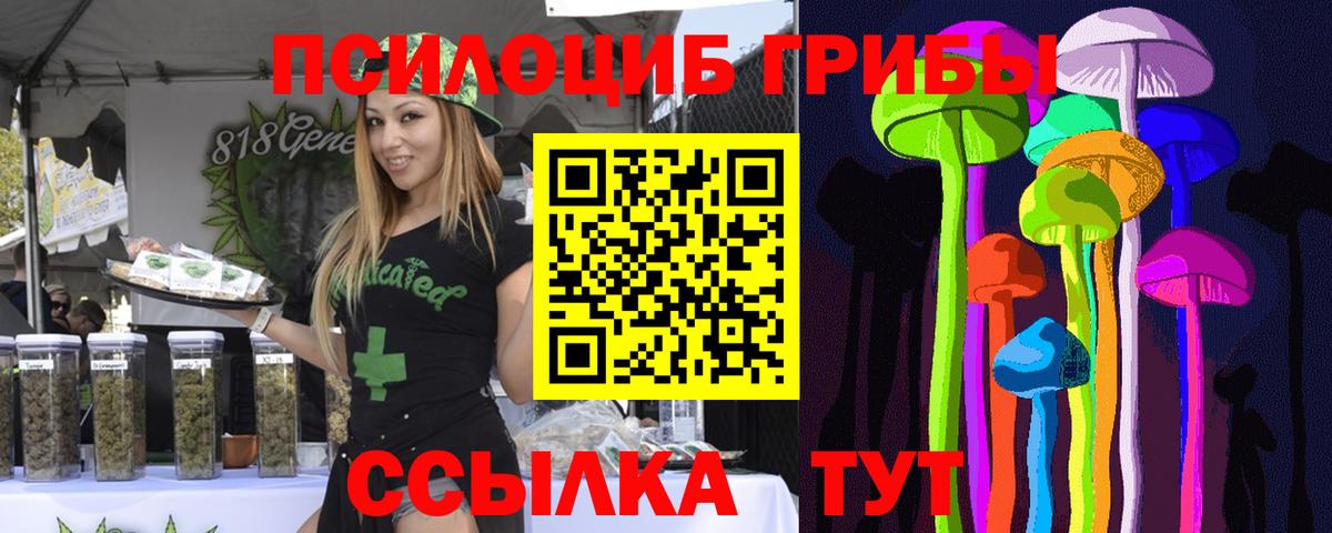 Псилоцибиновые грибы ЛСД  где купить наркотик  Галлюциногенные грибы MAGIC MUSHROOMS  Гатчина  Вход с VPN 