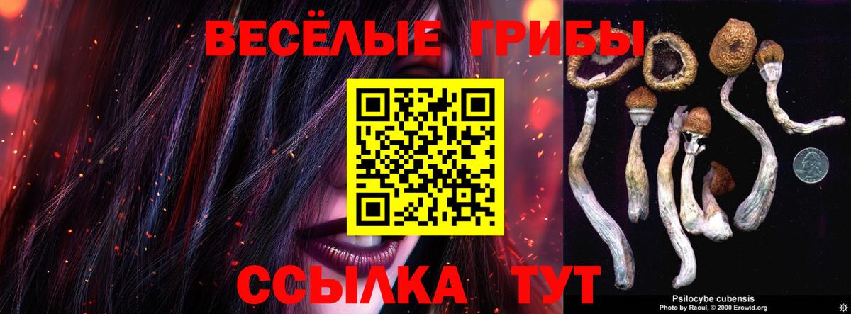Галлюциногенные грибы мицелий Гатчина